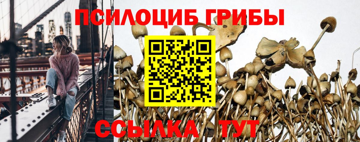 Псилоцибиновые грибы мухоморы  Вход с VPN  Тула  Галлюциногенные грибы GOLDEN TEACHER 